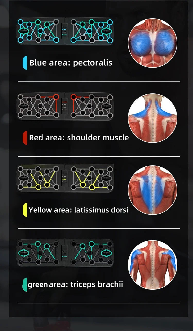 Portable Multi-Functional Push-Up Board Set - Foldable Sports Equipment - Home Gym Muscle Strength Machine - Pistol Support